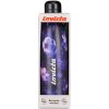 BOTTLE FANTASY INVICTA BORRACCE